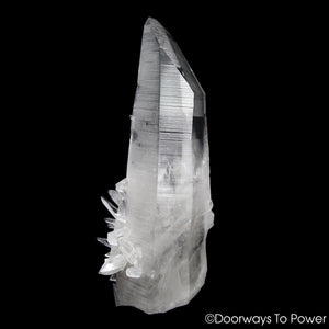 Lemurian Star Seed Quartz Crystal Record Keeper