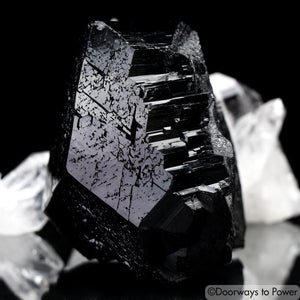 Black Tourmaline Etched Record Keeper Crystal Namibia