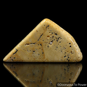 Lemurian Gold Azeztulite Quartz Crystal Tumbled & Polished (New)