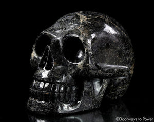 Ancient XL Nuummite Crystal Skull Rare 3 Billion Years Old
