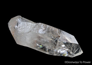 Lemurian Light Quartz Record Keeper DT Crystal