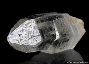 Rare 9D Lemurian Quartz Crystal