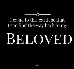 Lemurian Seed Quartz Record Keeper Crystal & Tantric Twin Starbrary