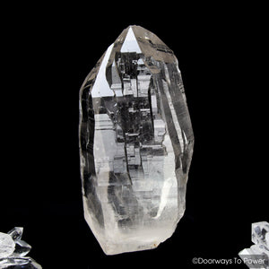 Himalayan Nirvana Quartz Crystal Record Keeper