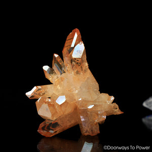 Tangerine Aura Imperial Gold Pleiadian Starbrary Time Link Record Keeper Twin Crystal Cluster