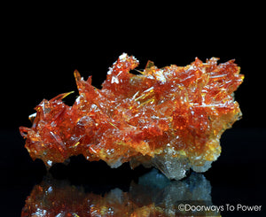 Zincite Crystal Cluster Specimen A+++ Collectors Quality