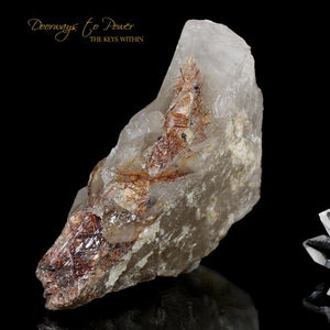 Golden Starseed Quartz Crystal Instrument