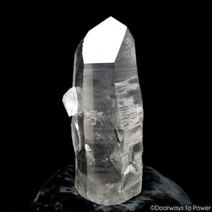 Smoky Black Phantom Lemurian Seed Quartz Inner Child Dolphin Crystal
