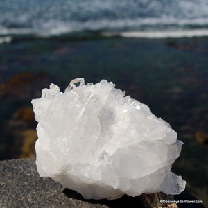 Powerful 4.68" John of God Healing Quartz Twin Record Keeper Crystal Cluster