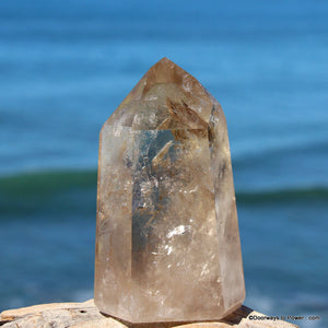 3.5" John of God Citrine Master Dow Abundance Crystal Altar Stone