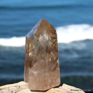 3.5" John of God Citrine Master Dow Abundance Crystal Altar Stone