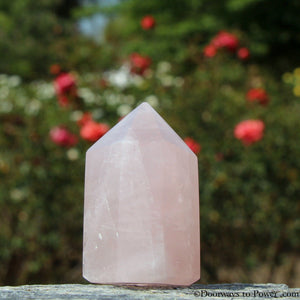 John of God Rose Quartz Heart Chakra Energy Crystal Point
