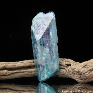 Aqua Aura Pleiadian Starbrary Danburite Synergy 12 Stone Crystal