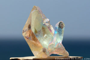 Powerful 3" Angel Aura Lemurian Seed Tantric Twin Pleiadian Starbrary Crystal