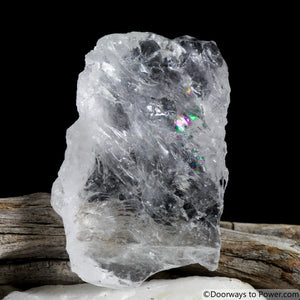 Satyaloka Azeztulite Azozeo Super Activated Synergy 12 Crystal