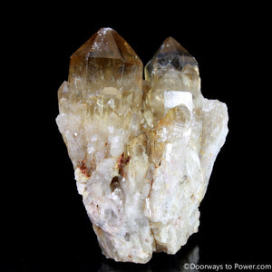 Rare 4" Natural Citrine Lightbrary Record keeper Kundalini Quartz Crystal Cluster