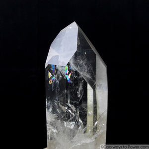 Rare 8" Lemurian Seed Portal Time Link Manifest Isis Crystal