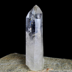Rare 8" Lemurian Seed Portal Time Link Manifest Isis Crystal