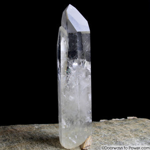 Rare 8" Lemurian Seed Portal Time Link Manifest Isis Crystal