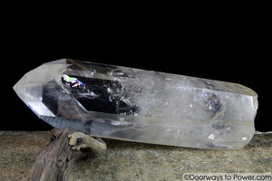 Rare 8" Lemurian Seed Portal Time Link Manifest Isis Crystal