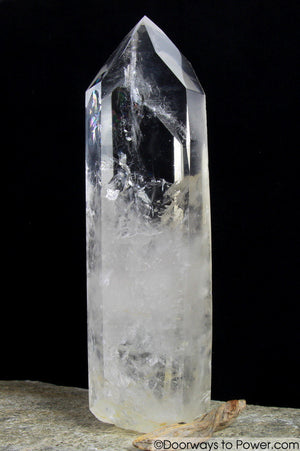 Rare 8" Lemurian Seed Portal Time Link Manifest Isis Crystal