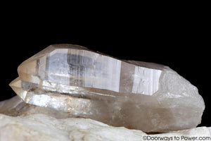 Lemurian Seed Pleiadian Starbrary Twin Master Record Keeper Crystal A +++