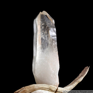 Lemurian Seed Pleiadian Starbrary Twin Master Record Keeper Crystal A +++