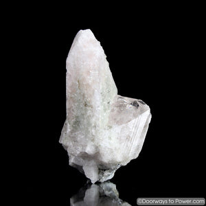 4.5" Danburite Pleiadian Starbrary Druzy Manifester Crystal Synergy 12 Stone