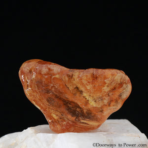 Rare KAURILITE Natural Raw Specimen - New Zealand