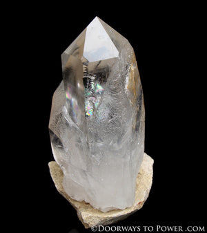 Lemurian Seed Pleiadian Starbrary Quartz Crystal A +++ Museum Quality