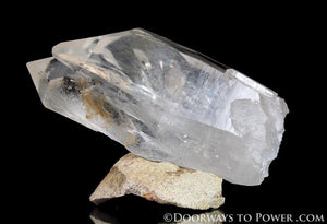 Lemurian Seed Pleiadian Starbrary Quartz Crystal A +++ Museum Quality