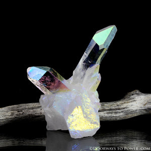 Angel Aura Starbrary Quartz Crystal Cluster A +++ Collectors Quality