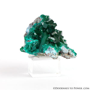 Beautiful Dioptase Specimen A +++ Collectors Quality