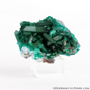 Beautiful Dioptase Specimen A +++ Collectors Quality