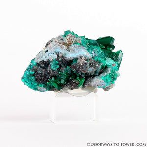 Beautiful Dioptase Specimen A +++ Collectors Quality