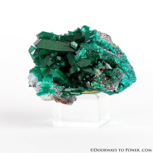 Beautiful Dioptase Specimen A +++ Collectors Quality
