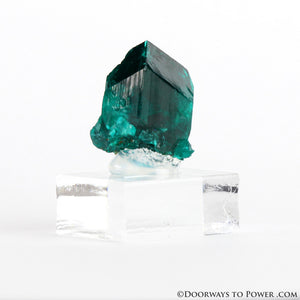 Dioptase Prosperity Crystal Specimen A +++ Museum Quality - NAMBIA