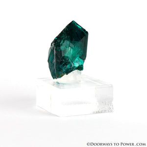 Dioptase Prosperity Crystal Specimen A +++ Museum Quality - NAMBIA