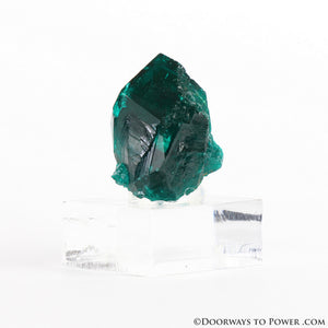 Dioptase Prosperity Crystal Specimen A +++ Museum Quality - NAMBIA