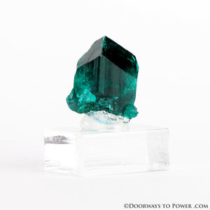 Dioptase Prosperity Crystal Specimen A +++ Museum Quality - NAMBIA