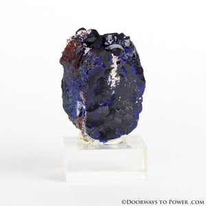 Royal Blue Azurite Mineral Specimen Rosette Congo A +++ Quality