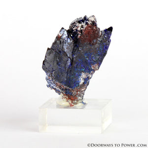 Royal Blue Azurite Mineral Specimen Rosette Congo A +++ Quality