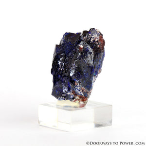 Royal Blue Azurite Mineral Specimen Rosette Congo A +++ Quality