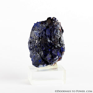 Royal Blue Azurite Mineral Specimen Rosette Congo A +++ Quality