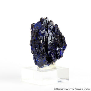 Royal Blue Azurite Mineral Specimen Rosette Congo A +++ Quality