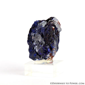 Royal Blue Azurite Mineral Specimen Rosette Congo A +++ Quality