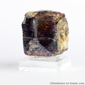 Rare Red Ruby & Blue Sapphire Corundum Specimen A +++ "Museum Quality"