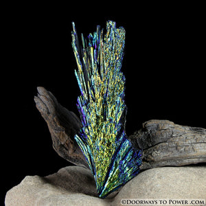 Aqua Aura Black Kyanite Angel Wing Crystal BKA-5