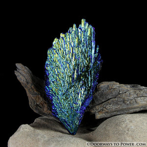 Rare Aqua Aura Black Kyanite Crystal Angel Wing