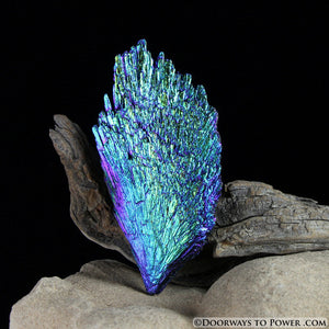 Rare Aqua Aura Black Kyanite Crystal Angel Wing